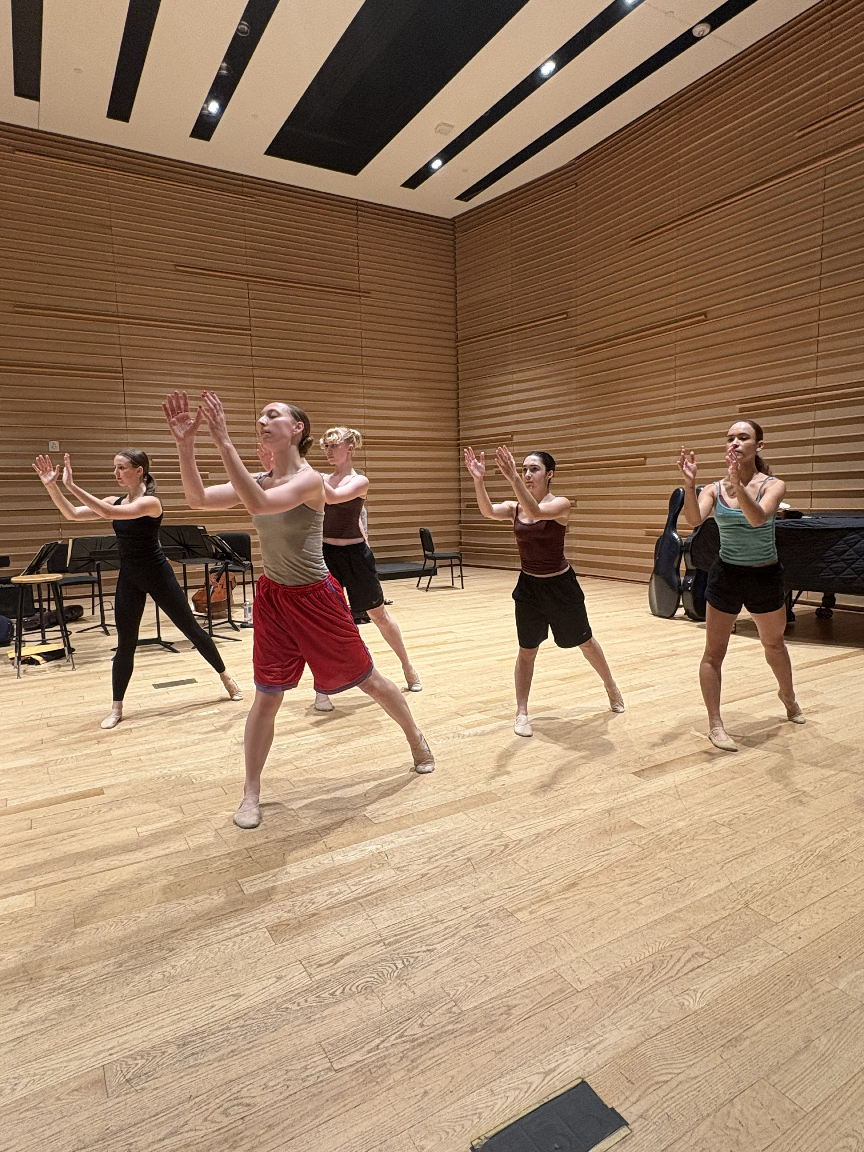 8. Ballet Support Foundation and New York City Opera dance project at Bryant Park (June, 2025)